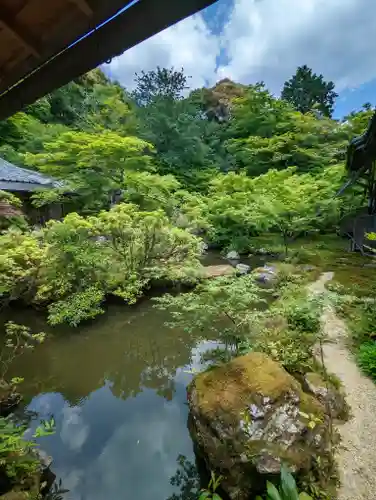 実相院門跡の庭園