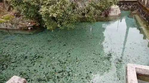 神明神社(岐阜県)