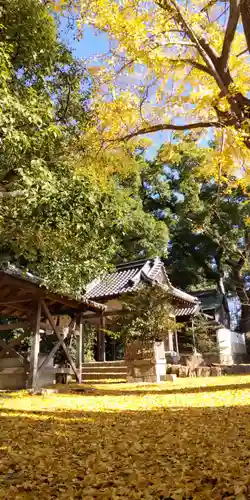 若宮八幡宮(京都府)