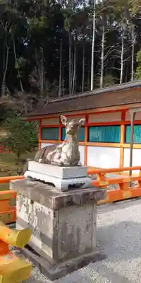 大原野神社の狛犬