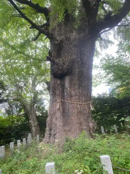 芝東照宮(東京都)