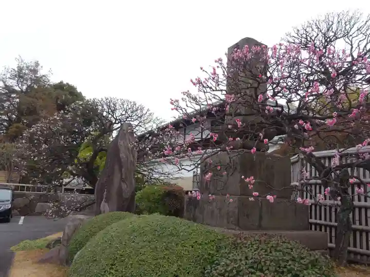 妙蓮寺(神奈川県)