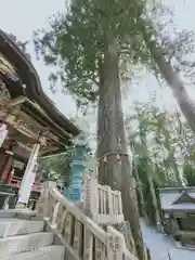 三峯神社の自然