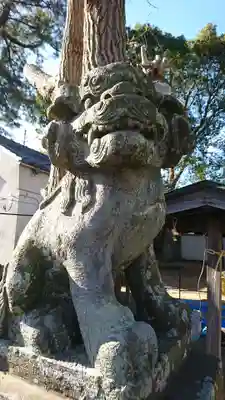 安房神社の狛犬