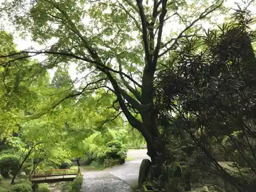 両子寺の庭園