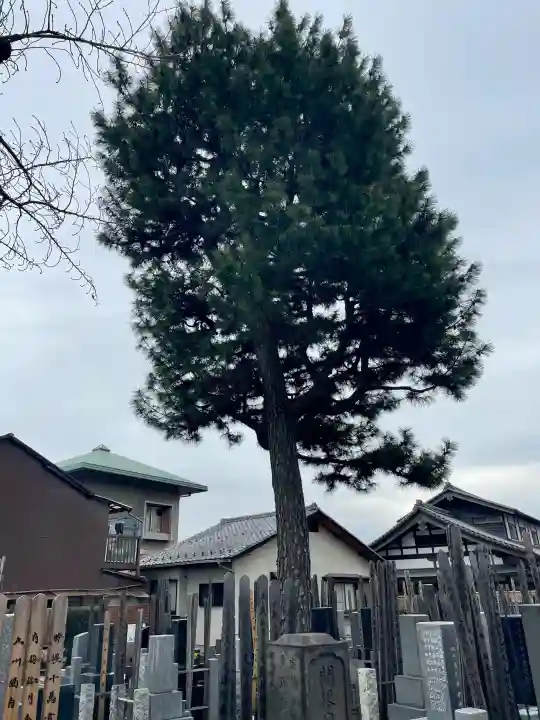 頤神襌院の{uncategorized: "未分類", other: "その他", undefined: "問題あり", building: "その他建物", grave: "お墓", sacred_gate: "鳥居", guardian: "狛犬", statue: "像", buddha: "仏像", history: "歴史", nature: "自然", garden: "庭園", animal: "動物", pagoda: "塔", temizu: "手水舎", mountain_gate: "山門・神門", sanctuary: "本殿・本堂", subordinate: "末社・摂社", art: "芸術", scenery: "景色", jizo: "地蔵", ema: "絵馬", goshuin: "御朱印", omikuji: "おみくじ", items: "授与品その他", amulet: "お守り", goshuincho: "御朱印帳", eats: "食事", festival: "お祭り", votive_dance: "神楽", shichigosan: "七五三参", wedding: "結婚式", experience: "体験その他", initially: "初詣", around: "周辺", anti_infection: "感染症対策"}