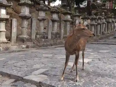 東大寺 三昧堂（四月堂）(奈良県)