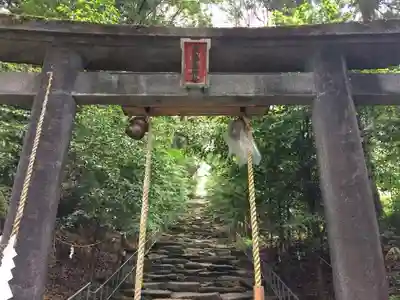 東霧島神社の鳥居