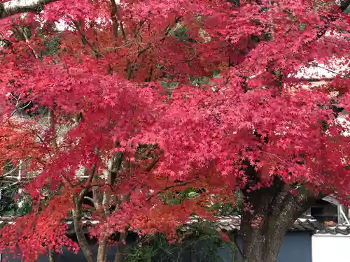木舟山　順教寺の自然