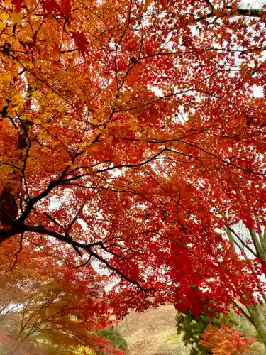 川見薬師寺(愛知県)