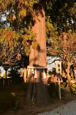 福良天満宮(大分県)