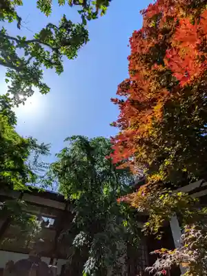 行慶寺(東京都)