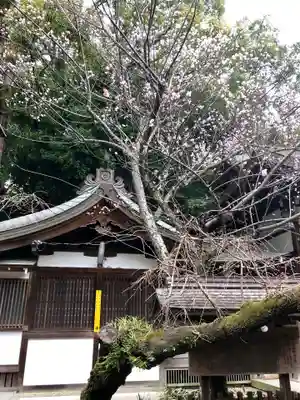 保久良神社の本殿・本堂