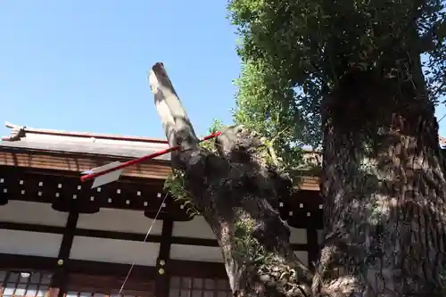 三輪神社のその他建物