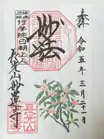 妙蓮寺の御朱印