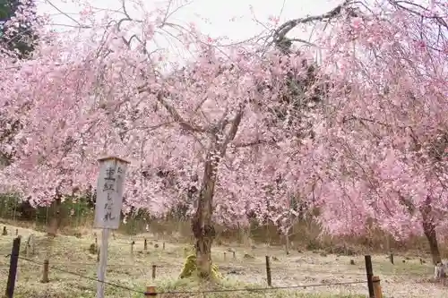 宝泉寺の庭園