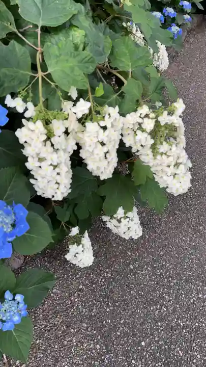 性海寺(愛知県)