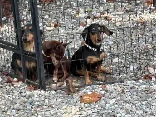 竹生島神社（都久夫須麻神社）(滋賀県)