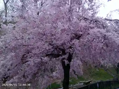 懐古神社の{uncategorized: "未分類", other: "その他", undefined: "問題あり", building: "その他建物", grave: "お墓", sacred_gate: "鳥居", guardian: "狛犬", statue: "像", buddha: "仏像", history: "歴史", nature: "自然", garden: "庭園", animal: "動物", pagoda: "塔", temizu: "手水舎", mountain_gate: "山門・神門", sanctuary: "本殿・本堂", subordinate: "末社・摂社", art: "芸術", scenery: "景色", jizo: "地蔵", ema: "絵馬", goshuin: "御朱印", omikuji: "おみくじ", items: "授与品その他", amulet: "お守り", goshuincho: "御朱印帳", eats: "食事", festival: "お祭り", votive_dance: "神楽", shichigosan: "七五三参", wedding: "結婚式", experience: "体験その他", initially: "初詣", around: "周辺", anti_infection: "感染症対策"}