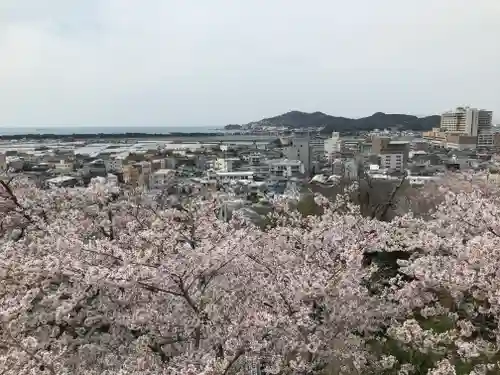 金剛宝寺（紀三井寺）の自然