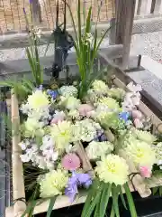 江南神社の手水