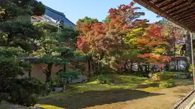 清凉寺(京都府)