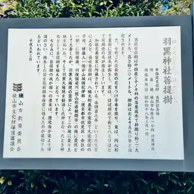 羽黒神社(埼玉県)