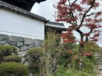 聖林寺(奈良県)