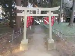 冨士御室浅間神社の鳥居