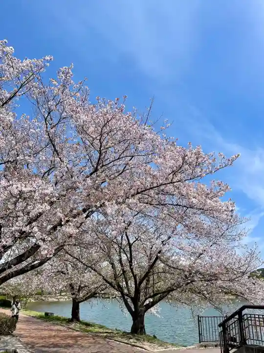 駕輿八幡宮(福岡県)