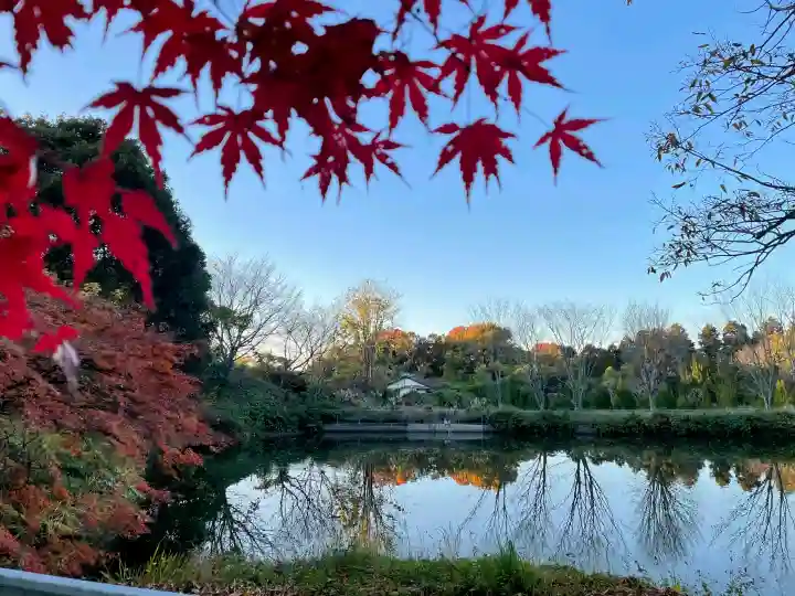 大神神社の{uncategorized: "未分類", other: "その他", undefined: "問題あり", building: "その他建物", grave: "お墓", sacred_gate: "鳥居", guardian: "狛犬", statue: "像", buddha: "仏像", history: "歴史", nature: "自然", garden: "庭園", animal: "動物", pagoda: "塔", temizu: "手水舎", mountain_gate: "山門・神門", sanctuary: "本殿・本堂", subordinate: "末社・摂社", art: "芸術", scenery: "景色", jizo: "地蔵", ema: "絵馬", goshuin: "御朱印", omikuji: "おみくじ", items: "授与品その他", amulet: "お守り", goshuincho: "御朱印帳", eats: "食事", festival: "お祭り", votive_dance: "神楽", shichigosan: "七五三参", wedding: "結婚式", experience: "体験その他", initially: "初詣", around: "周辺", anti_infection: "感染症対策"}