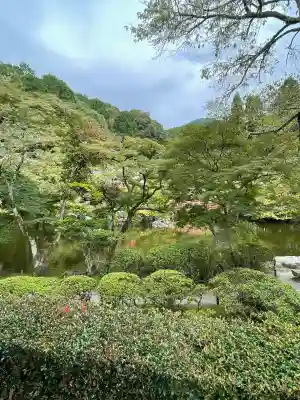 醍醐寺(京都府)