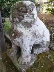 橿原神社の狛犬