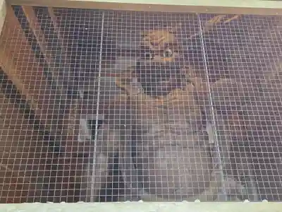 最御崎寺(高知県)