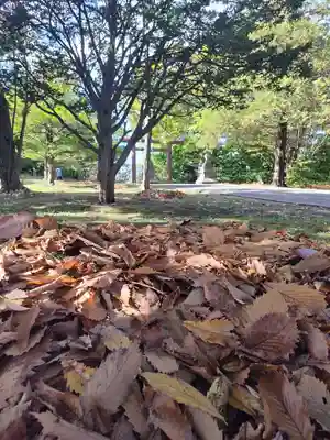 厚別神社(北海道)