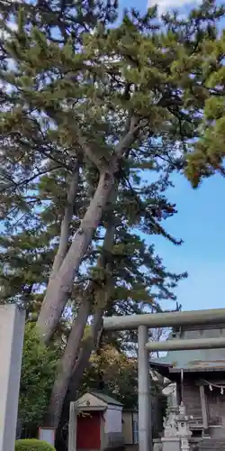 山王神社(神奈川県)