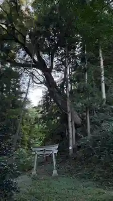 三峯神社(岩手県)