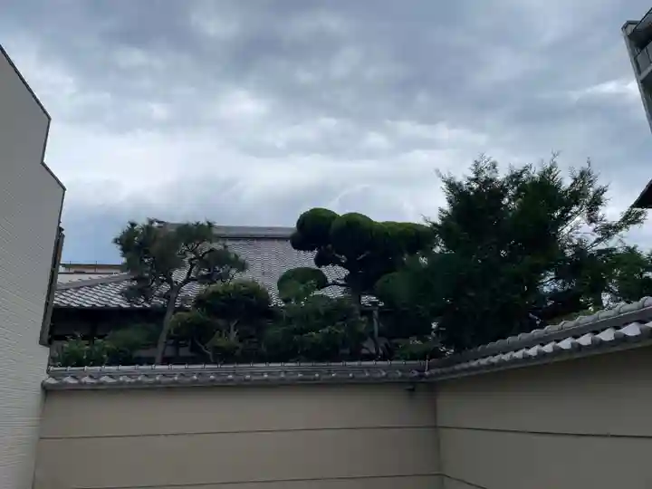 光徳寺(京都府)