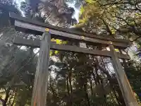 明治神宮(東京都)