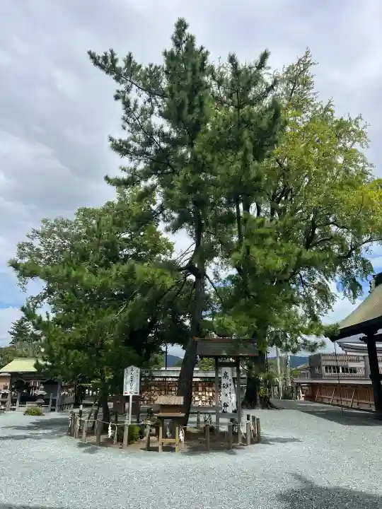 阿蘇神社(熊本県)
