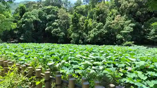 御髪神社の周辺