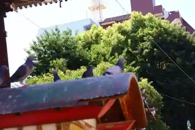 大須観音 (北野山真福寺宝生院)(愛知県)