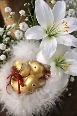川越熊野神社の{uncategorized: "未分類", other: "その他", undefined: "問題あり", building: "その他建物", grave: "お墓", sacred_gate: "鳥居", guardian: "狛犬", statue: "像", buddha: "仏像", history: "歴史", nature: "自然", garden: "庭園", animal: "動物", pagoda: "塔", temizu: "手水舎", mountain_gate: "山門・神門", sanctuary: "本殿・本堂", subordinate: "末社・摂社", art: "芸術", scenery: "景色", jizo: "地蔵", ema: "絵馬", goshuin: "御朱印", omikuji: "おみくじ", items: "授与品その他", amulet: "お守り", goshuincho: "御朱印帳", eats: "食事", festival: "お祭り", votive_dance: "神楽", shichigosan: "七五三参", wedding: "結婚式", experience: "体験その他", initially: "初詣", around: "周辺", anti_infection: "感染症対策"}
