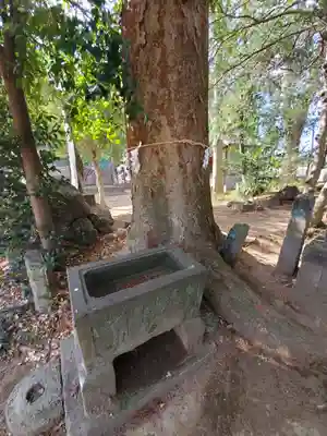 瑳珂比神社の手水舎