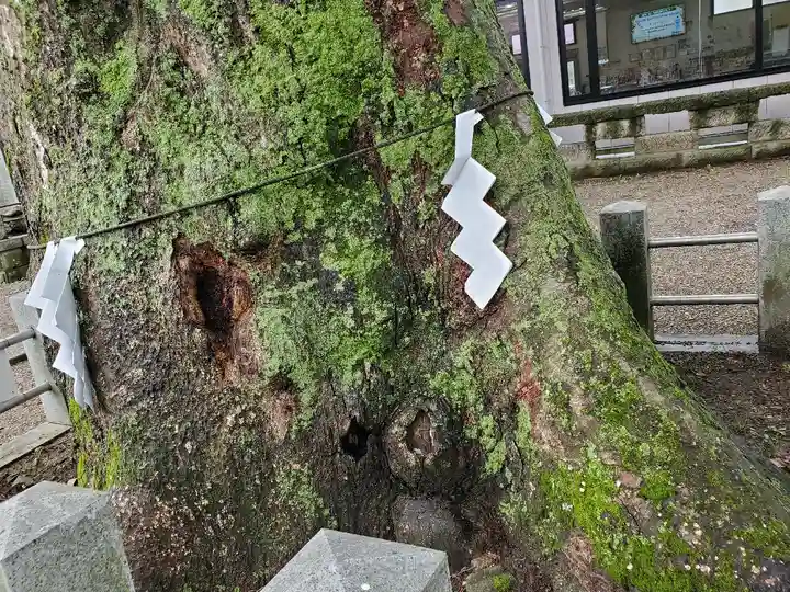 阿邪訶根神社の自然