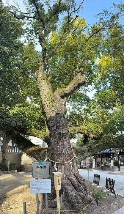 難波神社(大阪府)