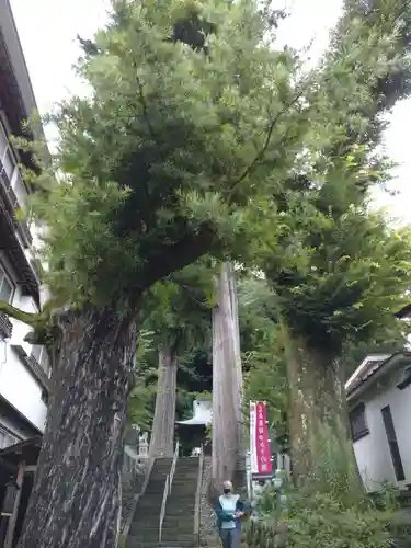 日枝神社(静岡県)