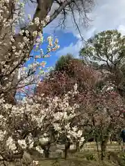 北野天満宮(京都府)