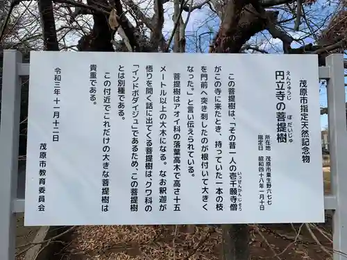 円立寺(千葉県)