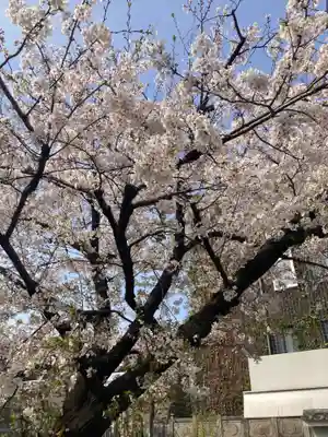 成田山深川不動堂（新勝寺東京別院）(東京都)